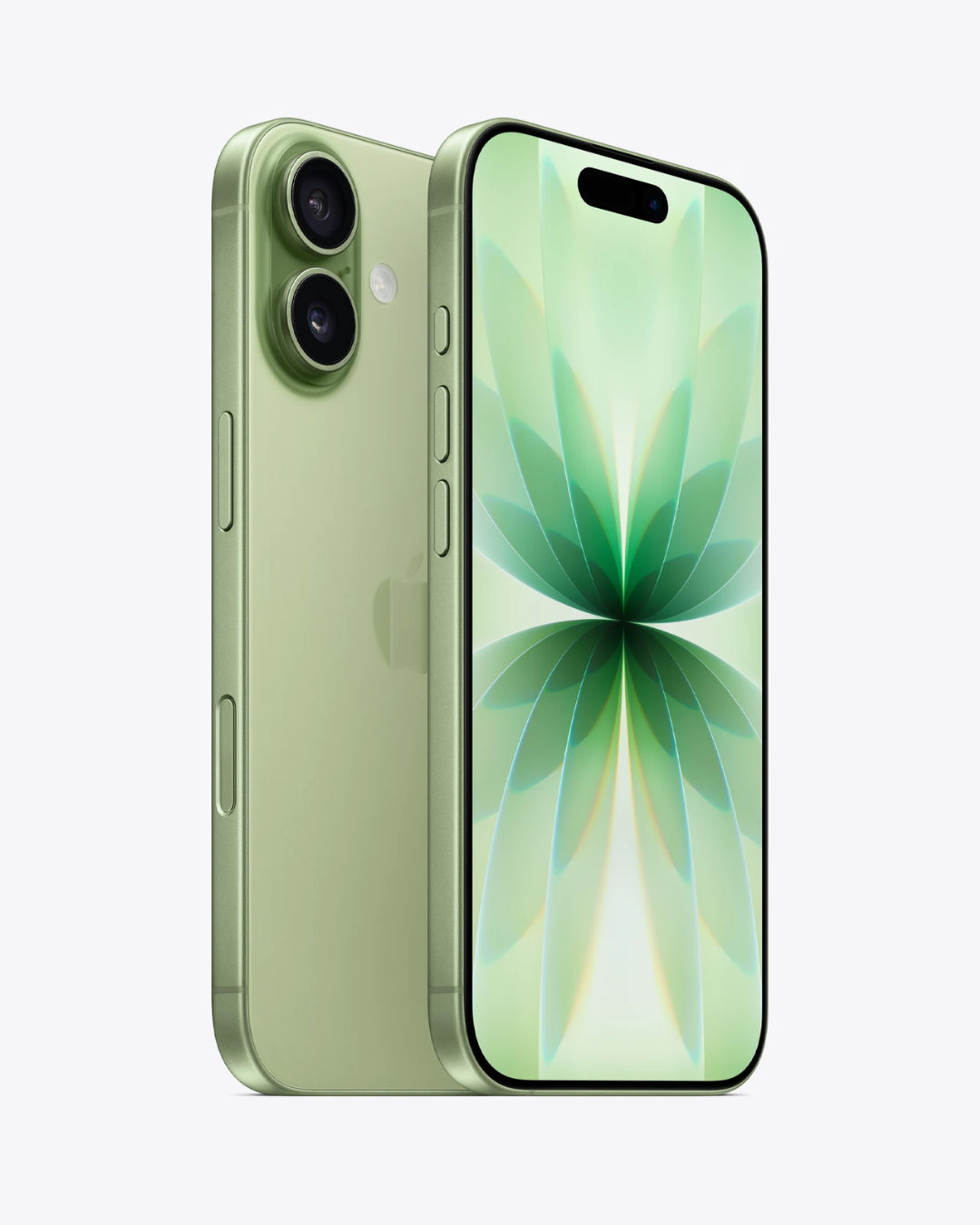 iPhone 17 Sage
