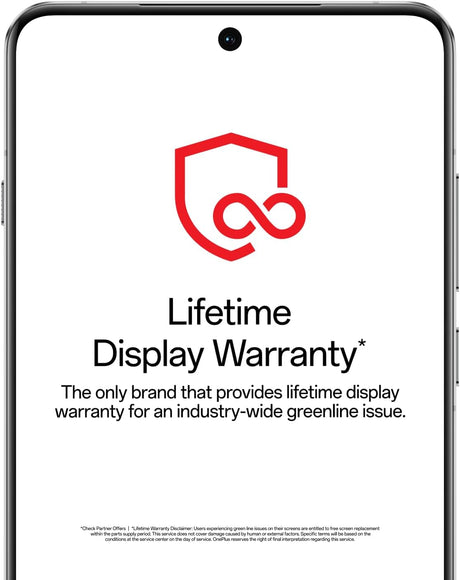 OnePlus 13R with AI – International Version